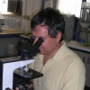 MASSIMILIANO FENICE